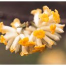 신항부부한의원 | 잠실다이어트한약 홧팅하는 모습이 보기 좋아요