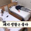 엠지떡볶이 이미지