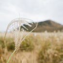 오름민박 이미지