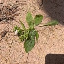 수봉공원 (유아숲체험원) 이미지