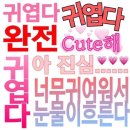 리듬 N 점프 | 역시 최고의 생일선물이란 투디 아이돌 라이브 블레겠지