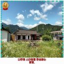 봉암동253 | 삼화동 맛집 카페히든 꼭 들려야하는 이유 알아보고 가세요!