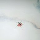 장전