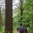 워터피아 이미지