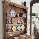 단비고집 이미지