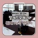 오페라 | 대전 팔레드오페라 뷔페 후기 트리아농홀 예비부부 시식권 찬스