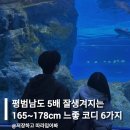 2568 | 평범남도 5배 잘생겨지는 165~178cm 느좋 코디 6가지 추천해줄게요!
