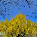 남동어린이공원 공원화장실 이미지