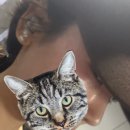 또케