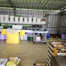 철호농장 이미지