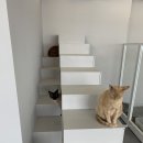 우주로캣 이미지