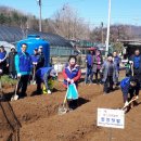 안씨농장 이미지