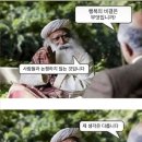 커피제제