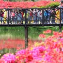 자연수변공원 이미지