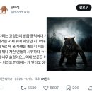 하 ㅅㅂ 이런 짤만 보면 속절없이 웃음 이미지