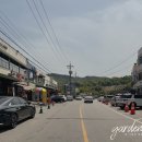 제일정효소꽈배기 이미지