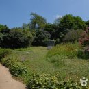 아리랜드 이미지