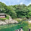 울타리식당 이미지