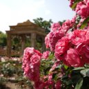 왕관식당 이미지