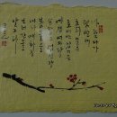 제14호문화 이미지