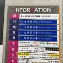 퍼플패치(PURPLE PATCH) 이미지