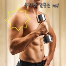 가람필라테스 - 성남시 분당구 이매로 13 | 가람필라테스