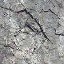 문호장 발자국 이미지