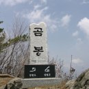 2024년 7월 11일(99회) "곰봉"(930m)/"마대산"(1502m) 강원/영월 이미지