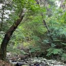 지리산물길따라펜션