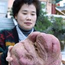 괴정3동-5 이미지