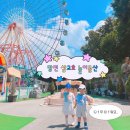 상꾸지놀이공원 | [아이와 가볼만한곳] 내돈내산 당진 삽교호 놀이동산 이용 후기 🎡