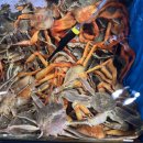 자갈치수산 이미지