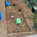 금계 농장 | 37개월 아이랑 실내 동물 먹이주기 체험, 예약 필요 없는 파주 나눔 농장 찐후기