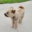 영해초등학교 앞 이미지