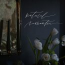 영문 모던 캘리그라피 2 이미지