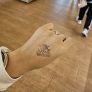 고운님 주유소 | [호주 시드니] 지그재그투어 포트스테판투어 후기｜예약방법, 샌드보딩 준비물, 날씨 정보, 여행 꿀팁...