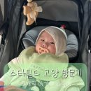 오렌즈신세계스타필드고양점 | [5개월 육아] 5개월 아기랑 고양 스타필드 방문기
