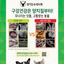 고강동물병원 이미지