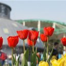 수피부이야기 - 파주시 사임당로 822 | 수피부이야기