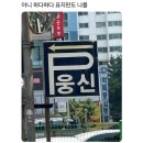 느좋~ 삼천포 여름 (문래 / 신대방 / 을왕리 / 행궁동 / 원주 / 평창)