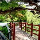 의림지민박 이미지