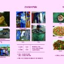 봉정연꽃체험마을