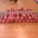 아령 2kg 싸게 팝니다~~~!!!!!!!!! 이미지