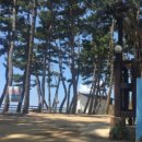 몽산포힐링캠핑장 이미지