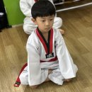 강일태권도 이미지