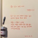 루미 이미지