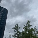 퍼펙트쉴드대구