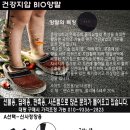 바이오영 이미지