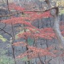 둥지여인숙 이미지