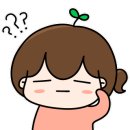 새댁식당 네이버블로그